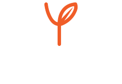 Elsys Solutions